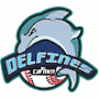 Carmen City Dolphins