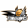 Ottawa SkyHawks