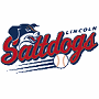 AA Lincoln Saltdogs