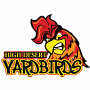 High Desert Yardbirds