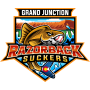 Grand Junction Razorback Suckers