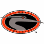 Delmarva Shorebirds