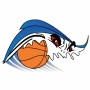 Jacksonville Blue Waves (WBA)