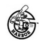 Grays Harbor Gulls