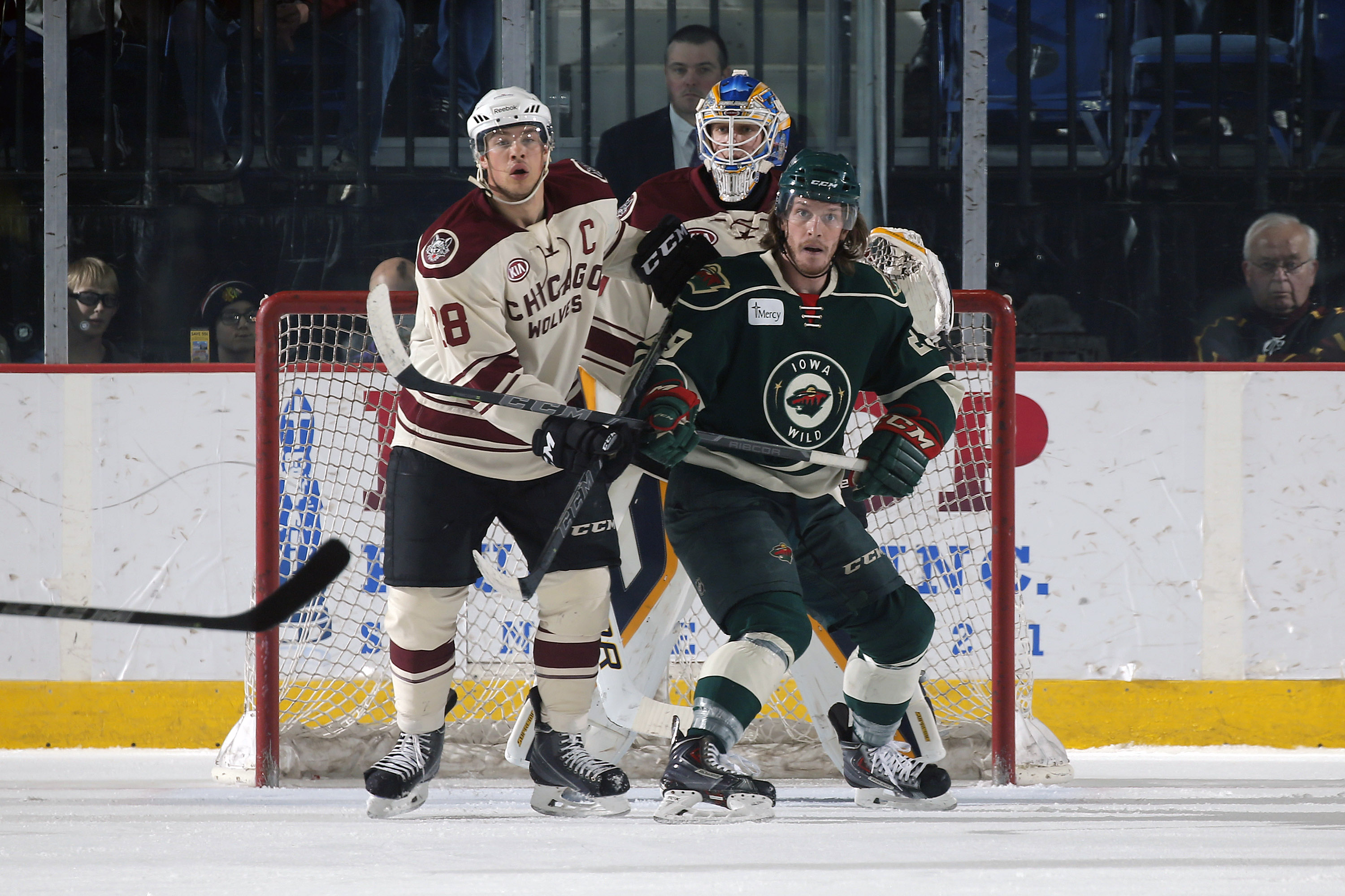 Chicago Wolves vs. Iowa Wild April 12, 2015 Photo on OurSports Central