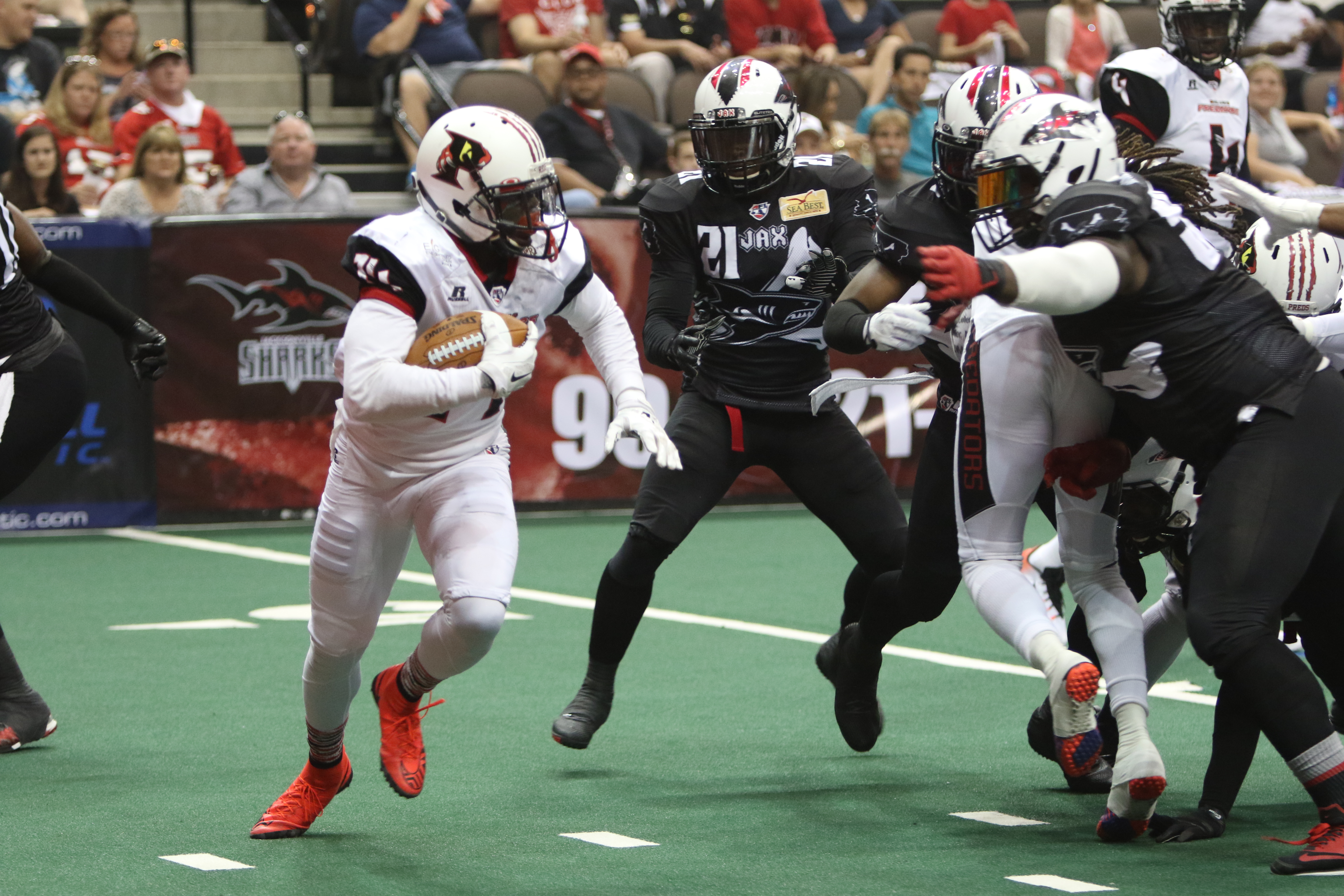 Rivalry between Jacksonville Sharks, Orlando Predators goes to new level  after starting QB switches sides