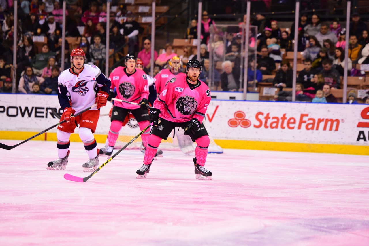 Norfolk Admirals vs. Elmira Jackals