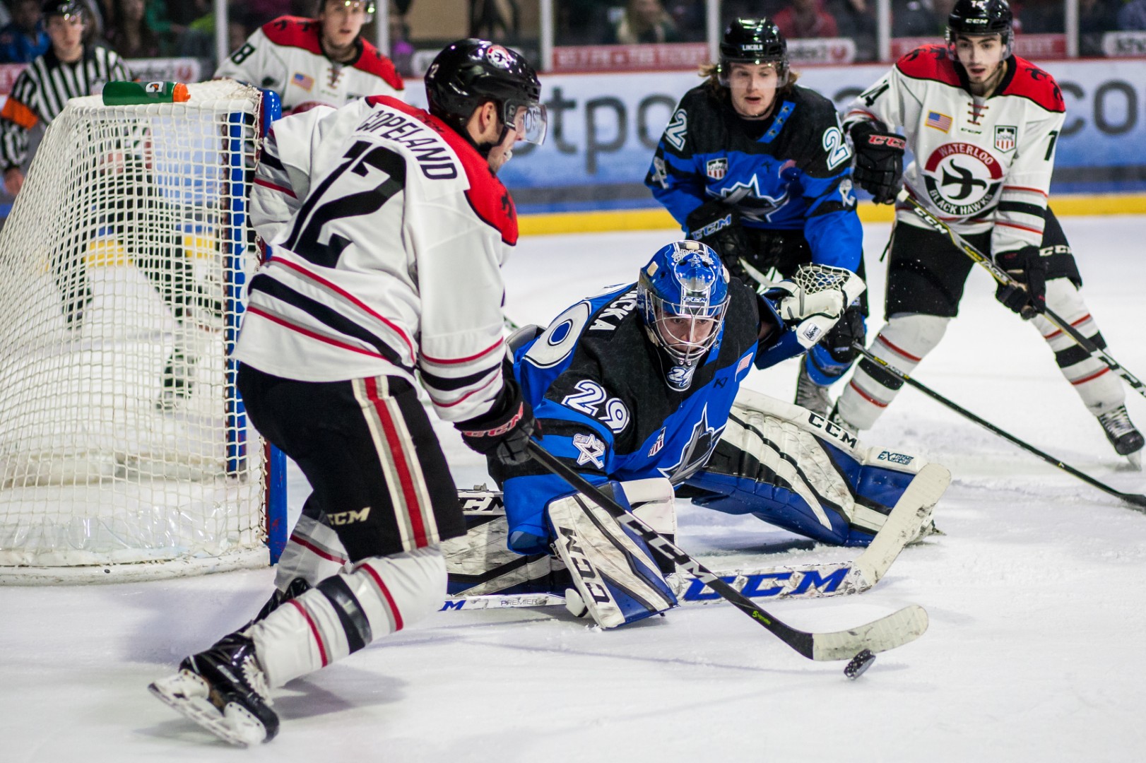 lincoln stars hockey jersey