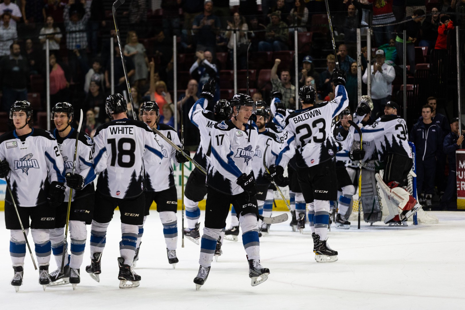 Steelheads