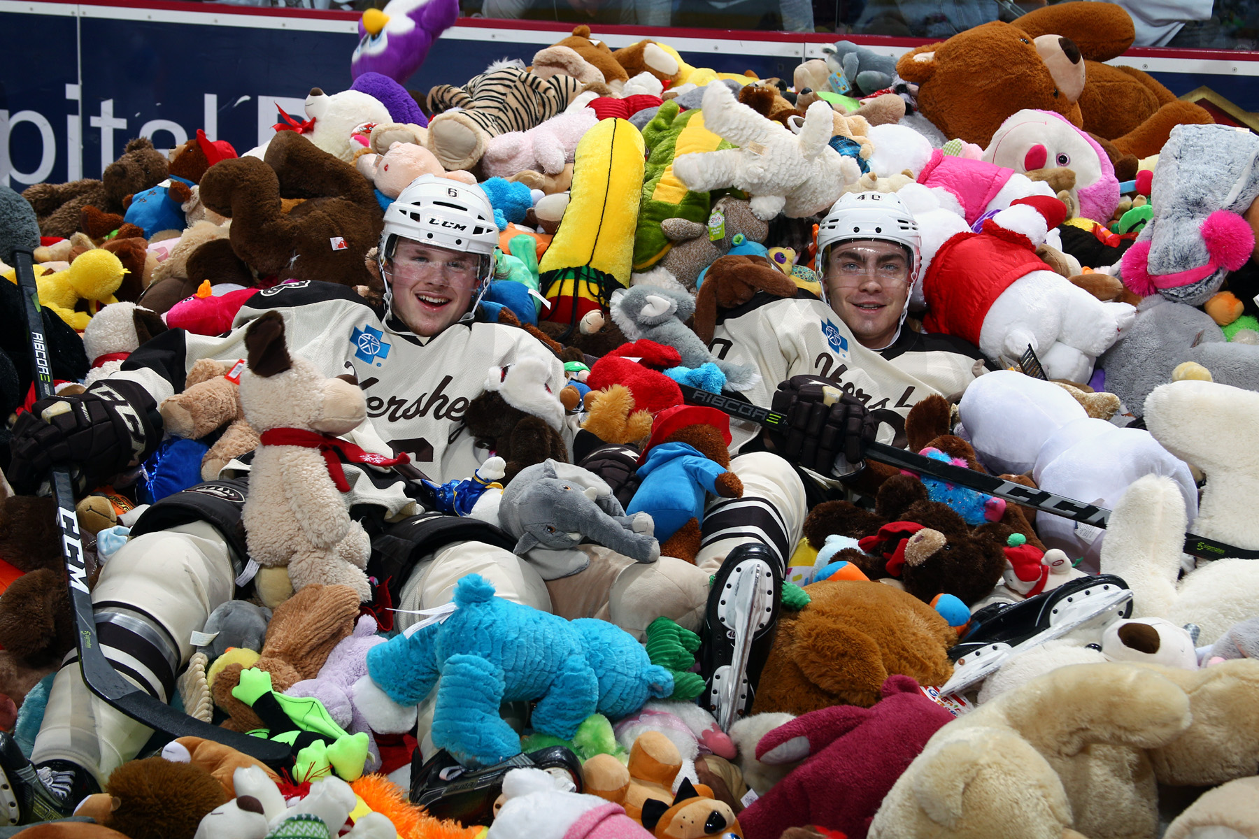 Annual Teddy Bear Toss breaks world record at AHL game in Hershey, Pa.