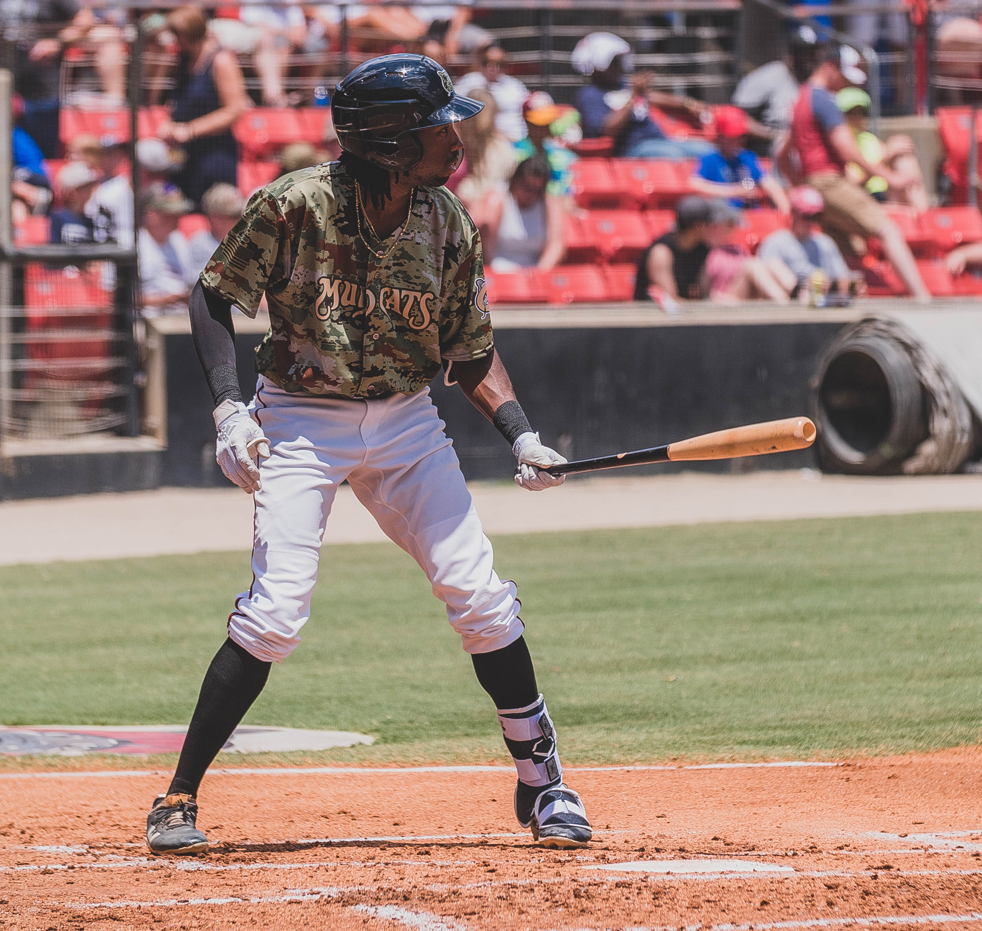 carolina mudcats jersey