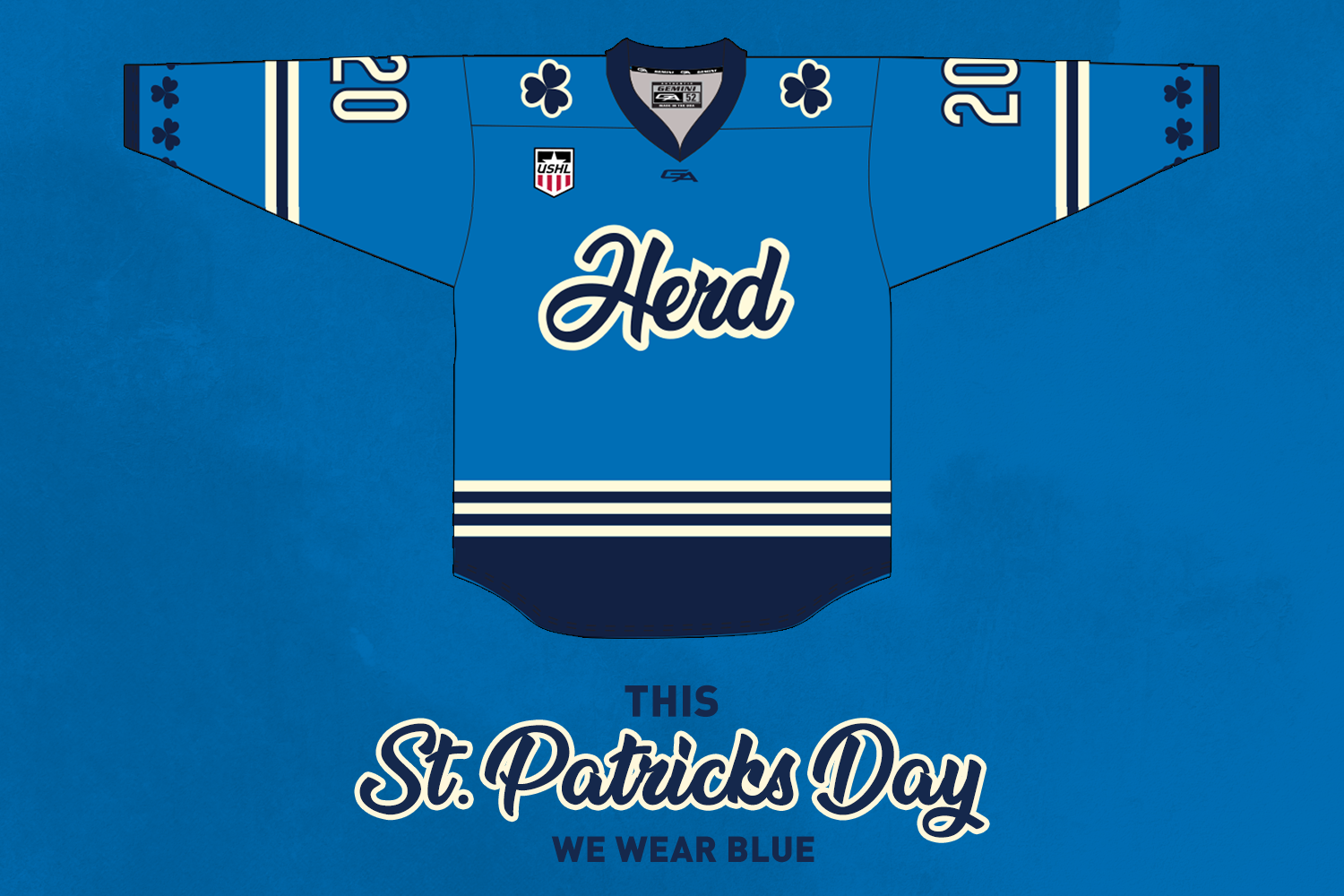 Sioux Falls Stampede St. Patrick's Day jersey March 6, 2020 Photo on