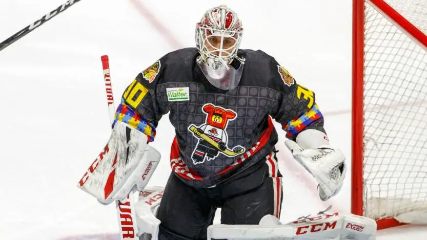 Rockford IceHogs  BID ON AUTISM AWARENESS JERSEYS