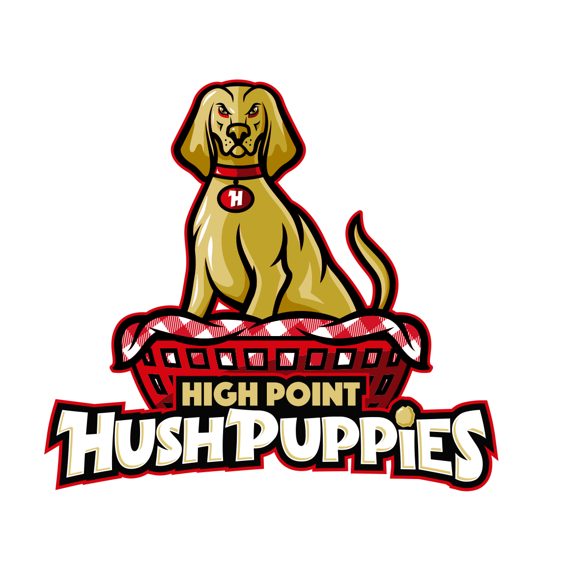 High Point Hushpuppies to Play at Truist Point OurSports Central