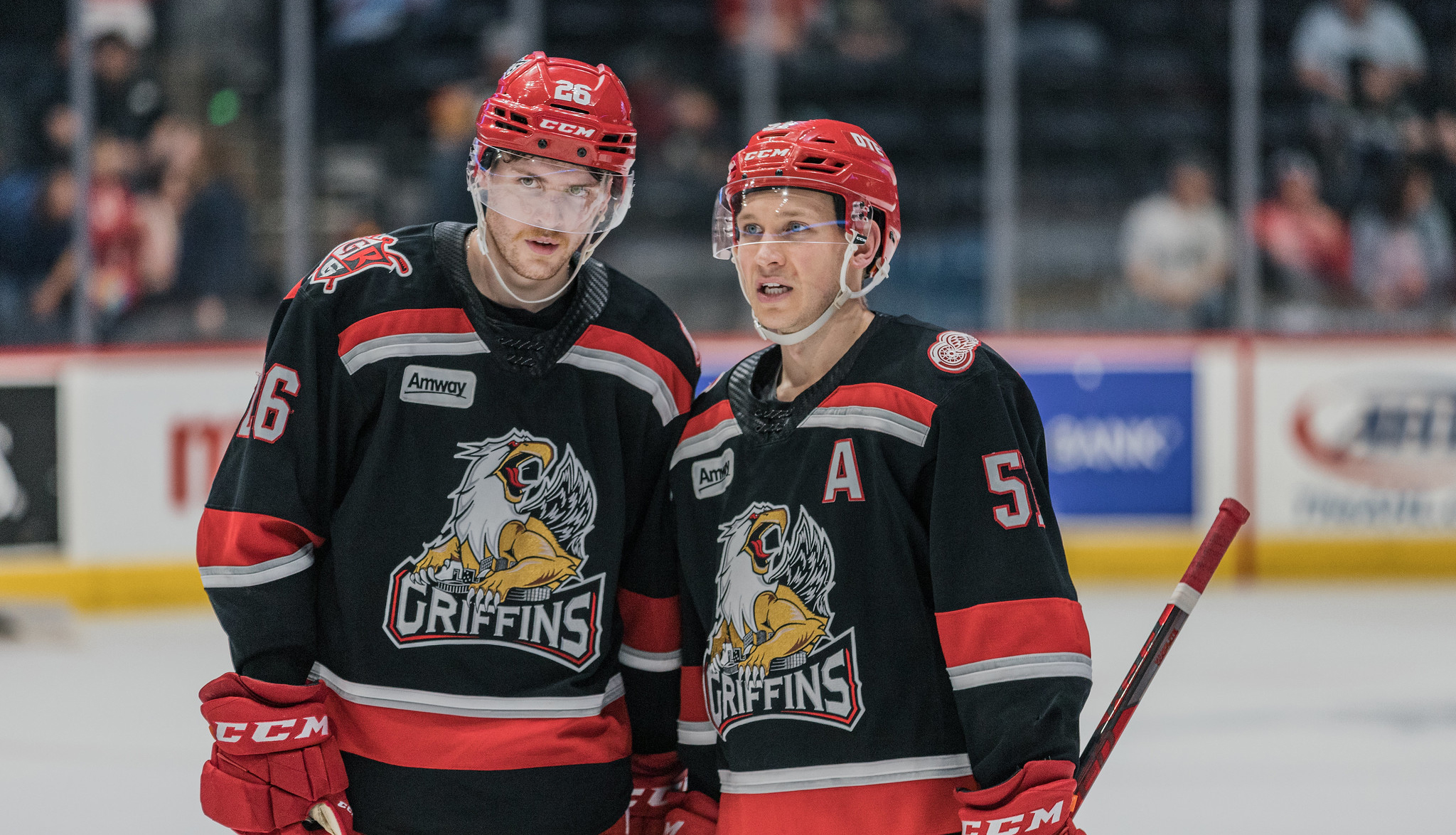 Grand Rapids Griffins Hockey Free Ride Friday Promotion