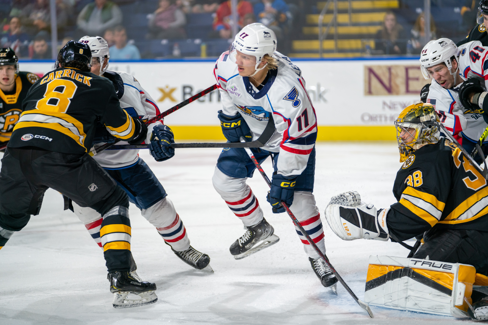 Providence Bruins vs Springfield