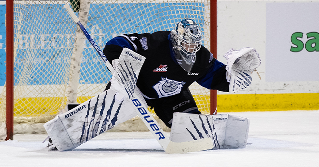 Calgary Hitmen Goal Horn WHL 19-20 