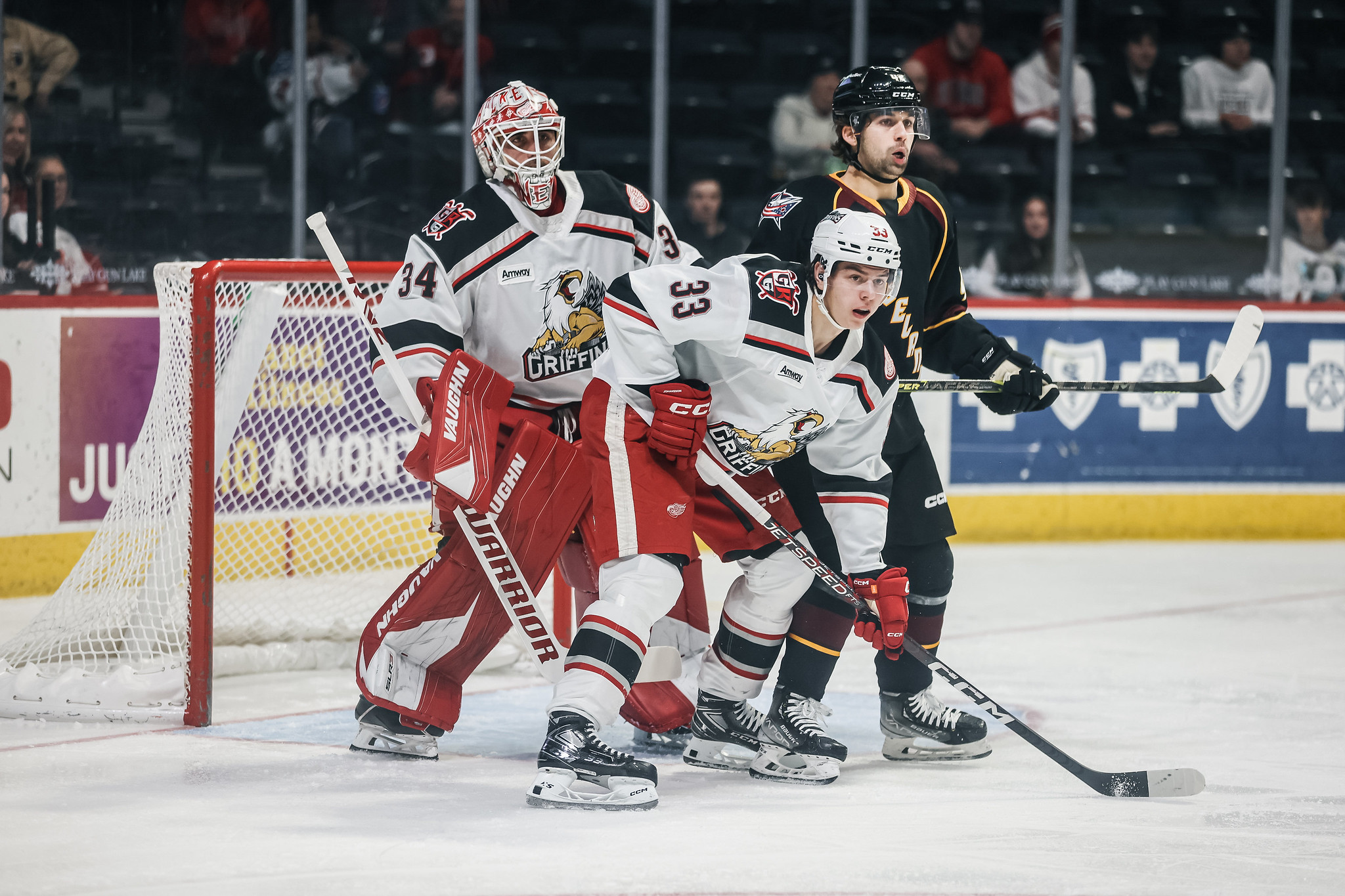 Grand Rapids Griffins  Detroit Assigns Magnus Hellberg to Griffins