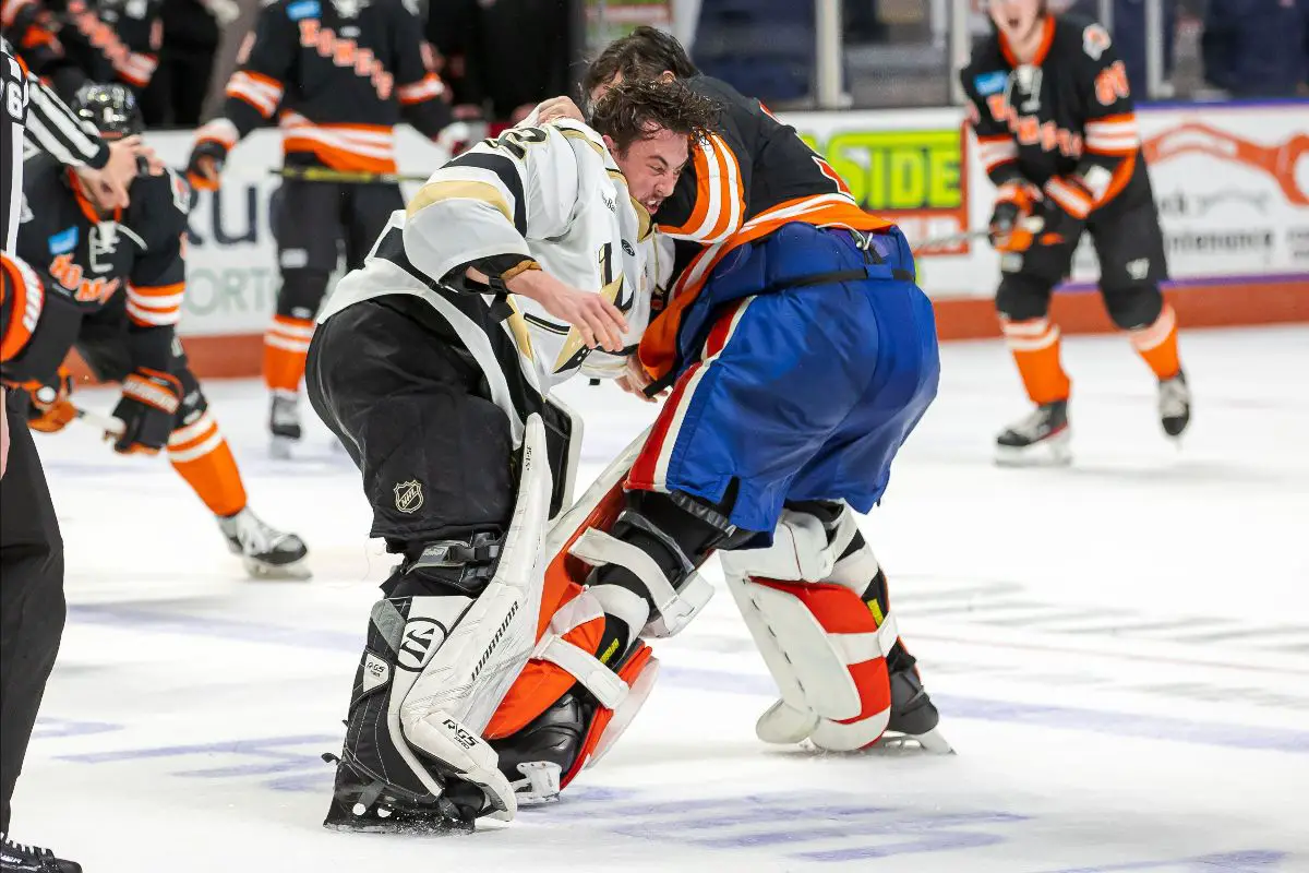 Gahagen, Icemen top Swamp Rabbits 3-0