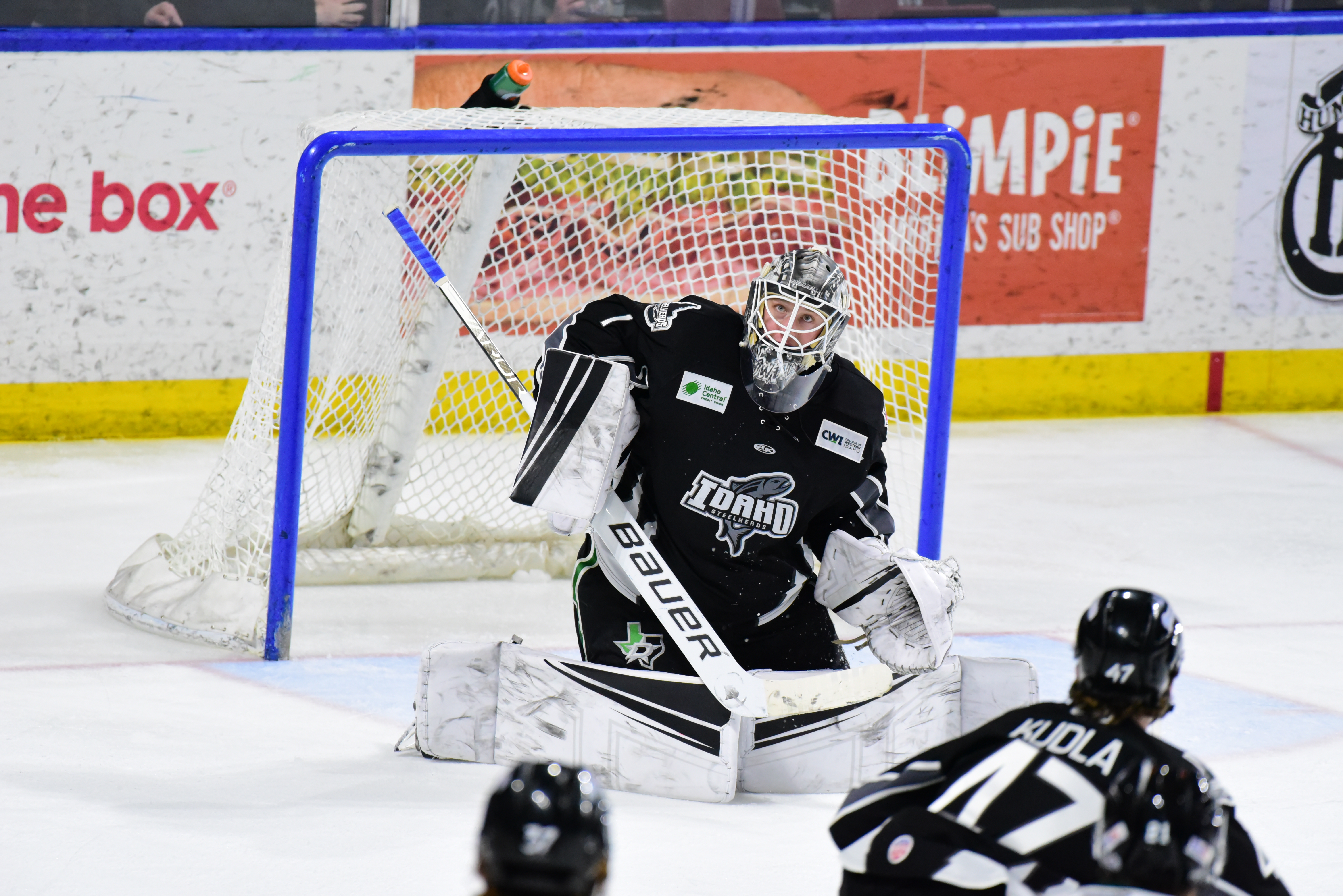 Texas Stars Add Four Players from Idaho Steelheads, Texas Stars