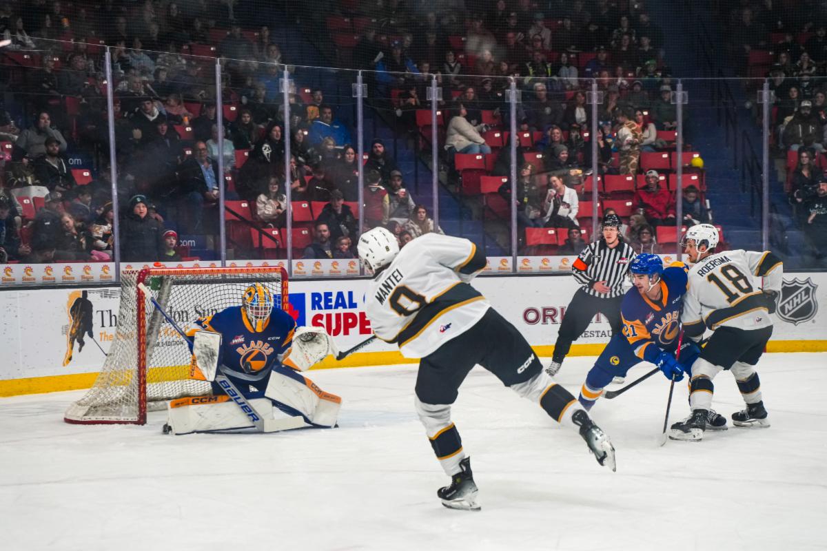 Brandon Wheat Kings Alternate Uniform - Western Hockey League (WHL