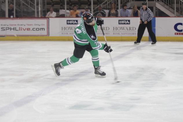 IceGators in Action