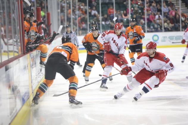 Allen Americans in Action