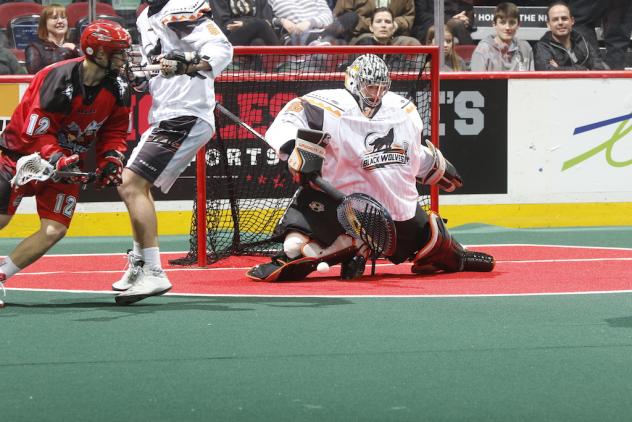 New England Black Wolves Goalie Evan Kirk