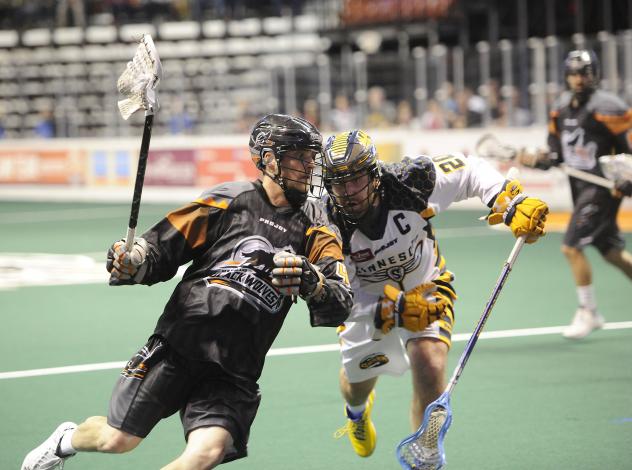 New England Black Wolves vs. Minnesota Swarm