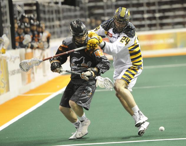 New England Black Wolves vs. Minnesota Swarm