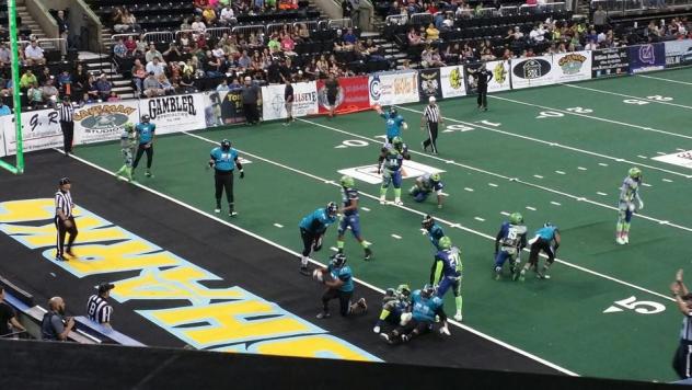 St. Louis Attack vs. Corpus Christi Fury