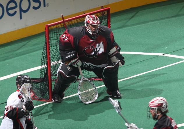 Colorado Mammoth Goaltender Alex Buque