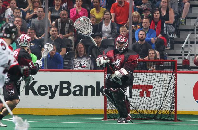 Colorado Mammoth Goaltender Alex Buque