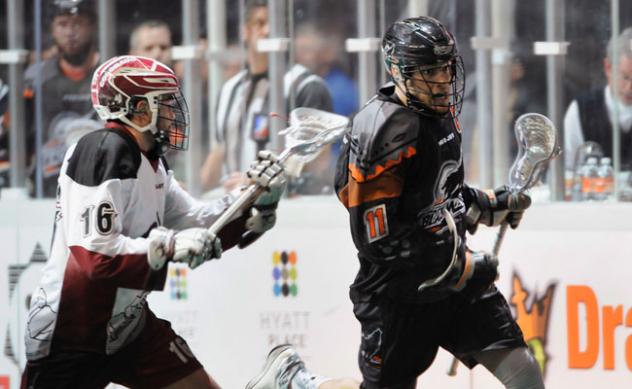 Joel White with the New England Black Wolves