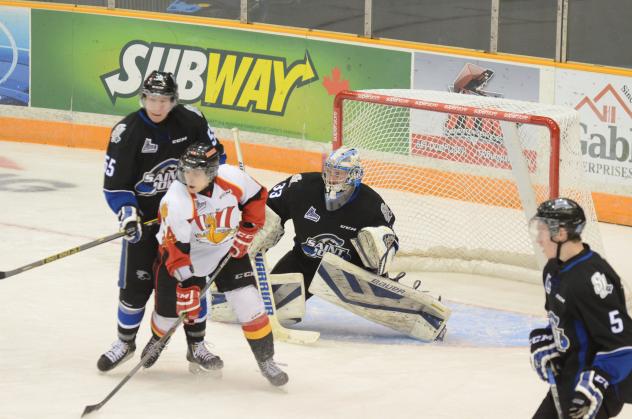 Saint John Sea Dogs vs. Baie-Comeau Drakkar