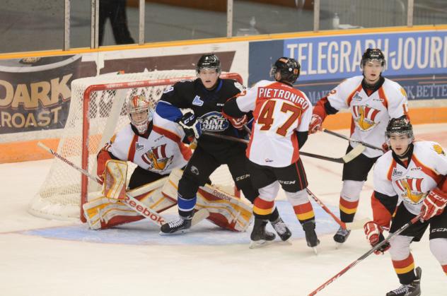 Saint John Sea Dogs vs. Baie-Comeau Drakkar