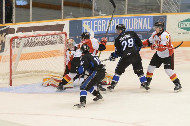 Saint John Sea Dogs vs. Baie-Comeau Drakkar