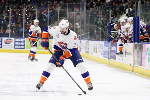 Springfield Falcons vs. Bridgeport Sound Tigers