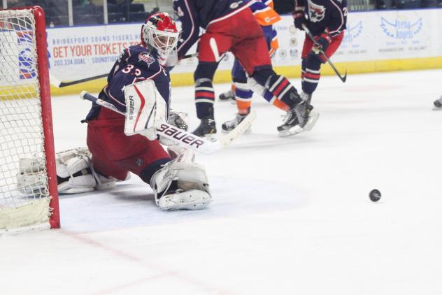 Springfield Falcons vs. Bridgeport Sound Tigers