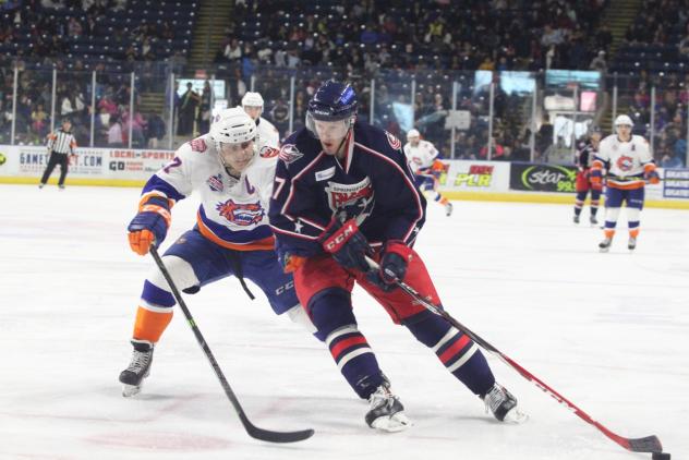Springfield Falcons vs. Bridgeport Sound Tigers