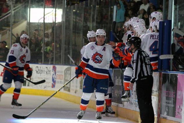 Springfield Falcons vs. Bridgeport Sound Tigers