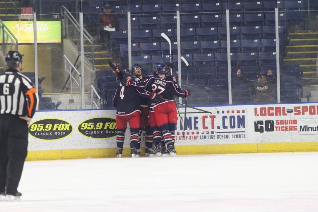 Springfield Falcons vs. Bridgeport Sound Tigers