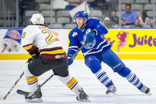 Toronto Marlies vs. Chicago Wolves