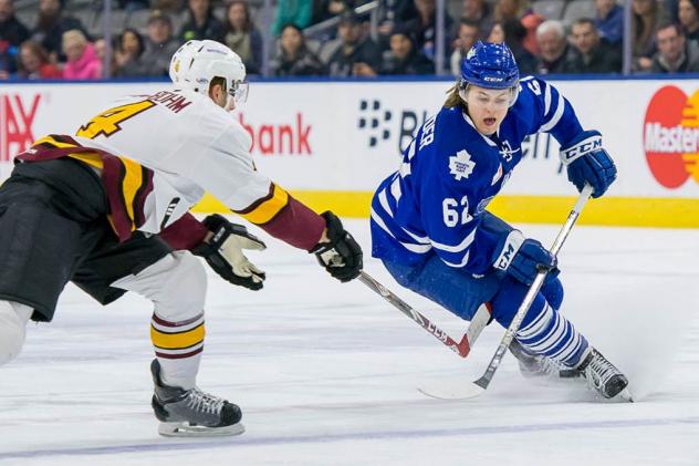 Toronto Marlies vs. Chicago Wolves