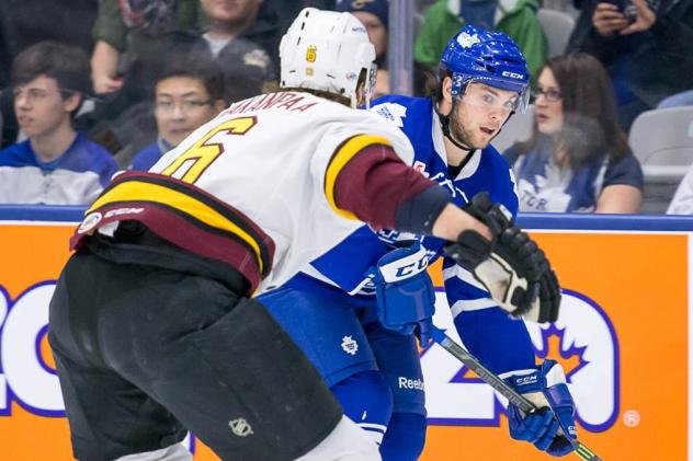 Toronto Marlies vs. Chicago Wolves