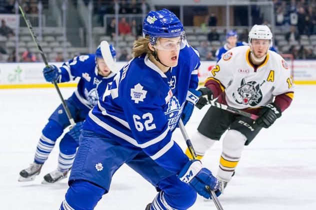Toronto Marlies vs. Chicago Wolves
