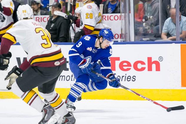 Toronto Marlies vs. Chicago Wolves