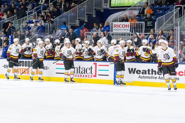 Toronto Marlies vs. Chicago Wolves