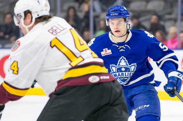 Toronto Marlies vs. Chicago Wolves