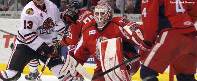 Grand Rapids Griffins Goalie Tom McCollum vs. the Rockford IceHogs